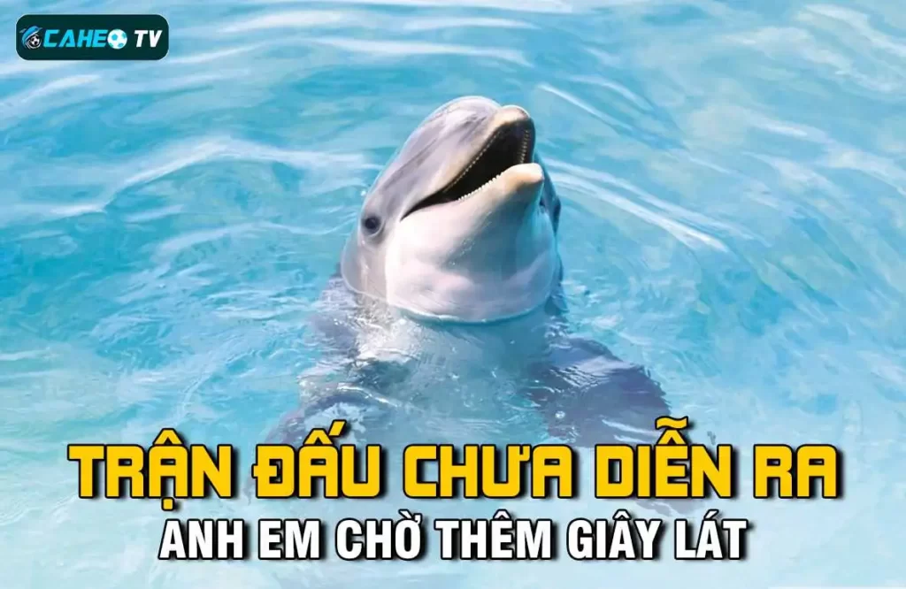 Đối chiếu thông tin thay vì suy đoán - 6Ff